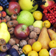 Obst - 22 - Frisch, köstlich, gesund - so ist Obst aus dem eigenen Garten.  (-998)