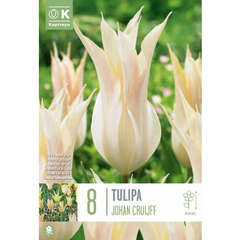 Lilienblütige (Tulpen) - 3 (102)