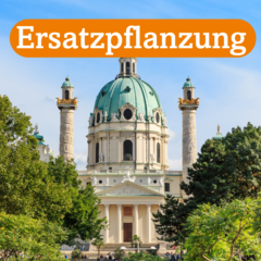 Ersatzpflanzung - 233 (2023)