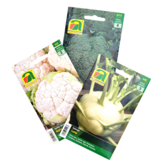 Kohlgemüsesaat - 23 - Kohl, Kohlrabi, Brokkoli, Blumenkohl (204)