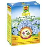  - Blaue Hortensien