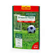 Strapazier-Rasen: Bild 1/1