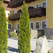 Thuja occidentalis 'Smaragd': Bild 9/10
