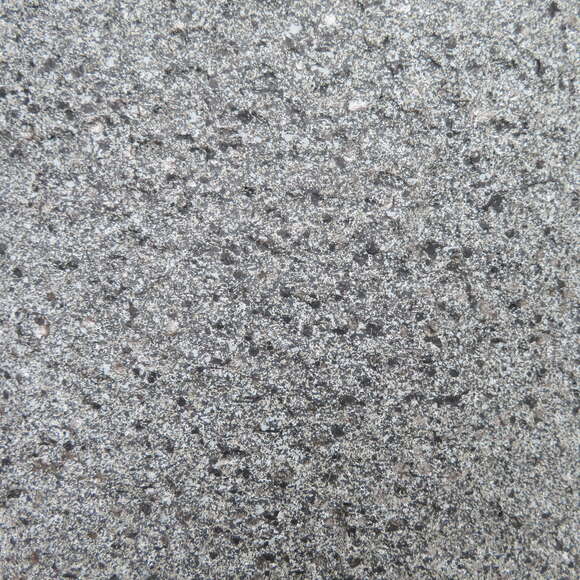 Schale Banham: Bild 4/4 Schale Banham: Bild 4/4