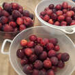 Prunus domestica 'Ruby': Bild 4/9