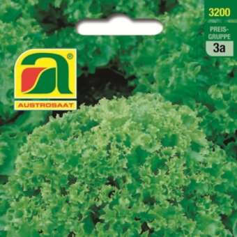 Schnittsalat "Lollo Bionda": Bild 2/5 Schnittsalat "Lollo Bionda": Bild 2/5