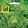 Kopfsalat Kagraner Sommer: Bild 1/2