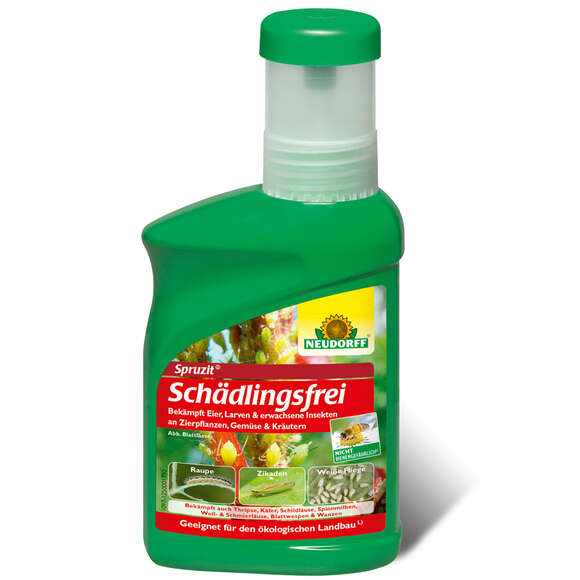 Spruzit Schädlingsfrei Pyrethrum: Bild 1/6 Spruzit Schädlingsfrei Pyrethrum: Bild 1/6