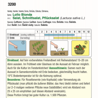 Schnittsalat "Lollo Bionda": Bild 4/5 Schnittsalat "Lollo Bionda": Bild 4/5