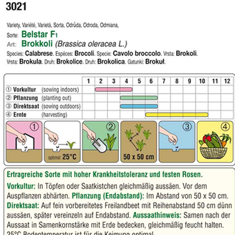 Brokkoli "Belstar F1": Bild 3/4 Brokkoli "Belstar F1": Bild 3/4