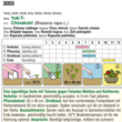 Chinakohl "Yuki F1": Bild 3/4