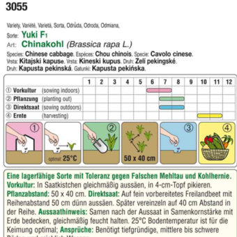 Chinakohl "Yuki F1": Bild 3/4 Chinakohl "Yuki F1": Bild 3/4