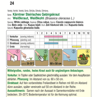 Weißkraut "Kärntner Steirisches Gebirgskraut": Bild 3/4 Weißkraut "Kärntner Steirisches Gebirgskraut": Bild 3/4