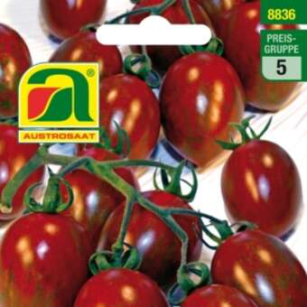 Tomate Crispino Plum