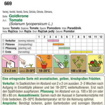 Tomate "Goldkrone": Bild 3/4 Tomate "Goldkrone": Bild 3/4