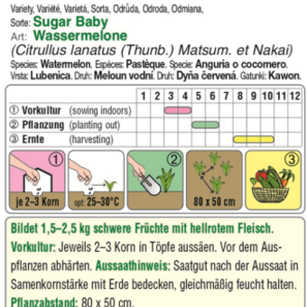 Wassermelone "Sugar Baby": Bild 3/4
