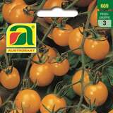 Tomate Goldkrone - Tomate Goldkrone