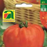 Tomate Ochsenherz - Tomate Ochsenherz