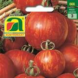 Tomate Tigerella - Tomate Tigerella