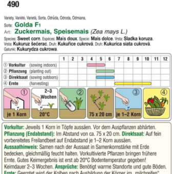 Zuckermais "Elan F1": Bild 3/4