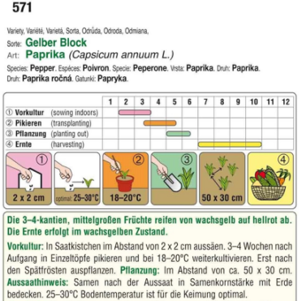 Paprika "Gelber Block": Bild 3/4 Paprika "Gelber Block": Bild 3/4