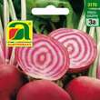 Rote Rüben "Chioggia": Bild 2/4