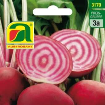Rote Rüben "Chioggia": Bild 2/4 Rote Rüben "Chioggia": Bild 2/4