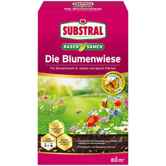 Die Blumenwiese