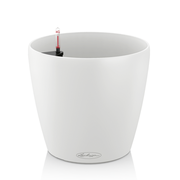 Classico Color: Bild 1/9 Classico Color: Bild 1/9