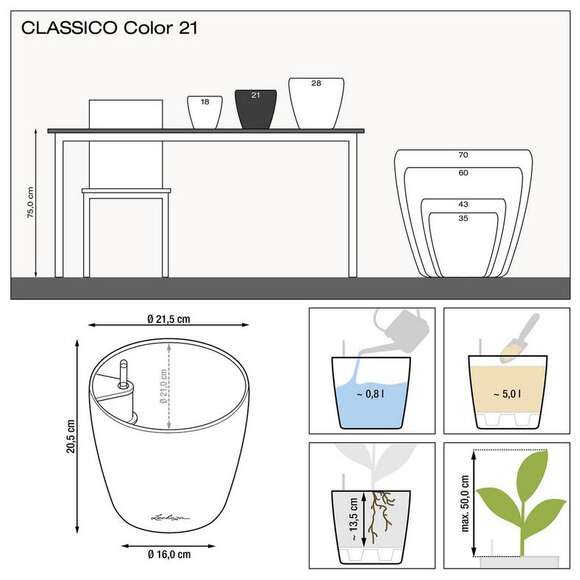Classico Color: Bild 4/9 Classico Color: Bild 4/9