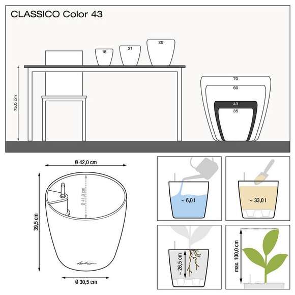 Classico Color: Bild 7/9 Classico Color: Bild 7/9