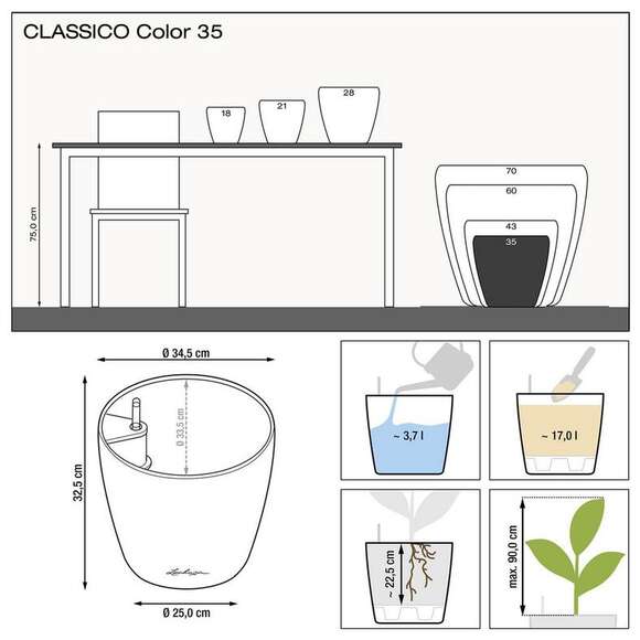Classico Color: Bild 6/9 Classico Color: Bild 6/9