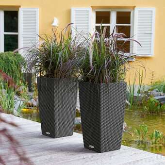 Cubico Cottage: Bild 4/6