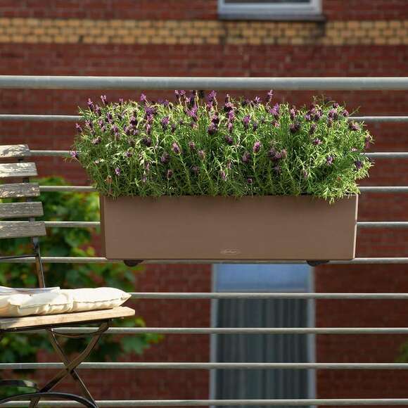 Balconera Color: Bild 6/7 Balconera Color: Bild 6/7