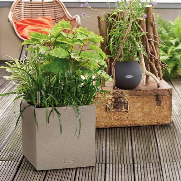 Canto Stone: Bild 4/6 Canto Stone: Bild 4/6