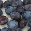 Prunus domestica 'Pruntop': Bild 1/1