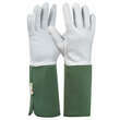 Handschuh Rosen Tommi: Bild 1/6