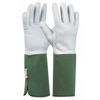 Handschuh Rosen Tommi