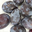 Prunus domestica 'Fruca': Bild 2/3