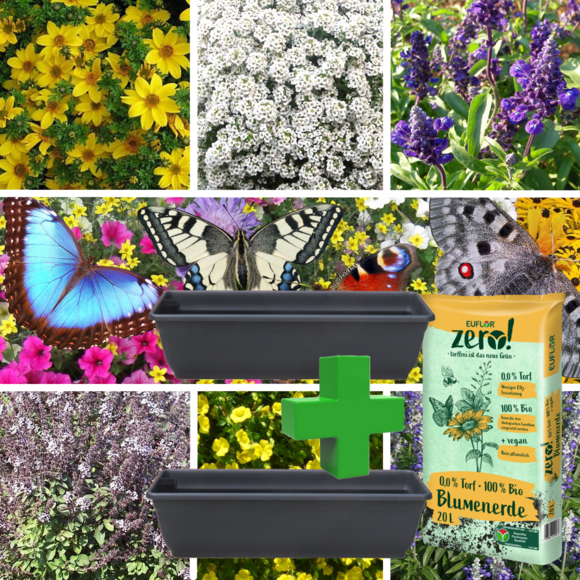 Bees&Butterflies-Set Kollektion: Bild 1/10 Bees&Butterflies-Set Kollektion: Bild 1/10