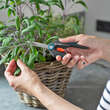 Gartenschere FreshCut: Bild 4/4