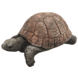 Small Tortoise - Small Tortoise