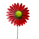 Windrad Gerbera - Windrad Gerbera