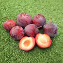 Prunus salicina 'Oblinaja' - Russische Pflaume