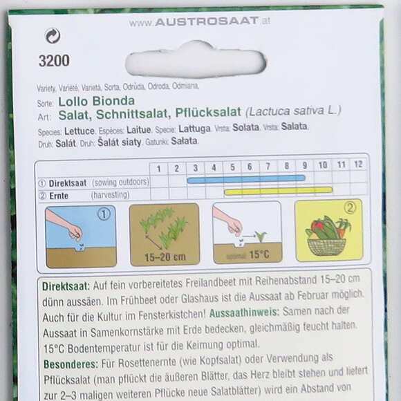 Schnittsalat "Lollo Bionda": Bild 3/5 Schnittsalat "Lollo Bionda": Bild 3/5