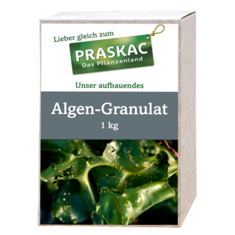 Algen-Granulat