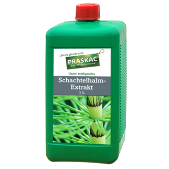Schachtelhalm-Extrakt