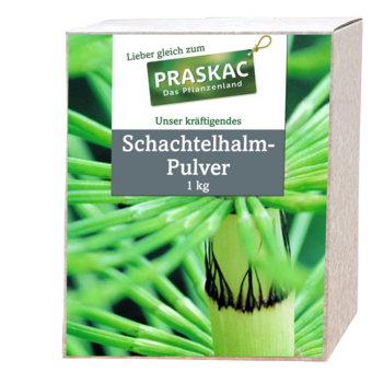 Schachtelhalm-Pulver