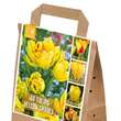 Tulpen Gelb Shades: Bild 1/1
