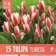 Tulpe kaufmanniana Floresta: Bild 1/1